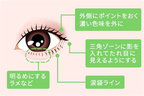 たれ目の基準は？特徴や与える印象、原因などを解。